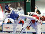 Zweimal Bronze bei Taekwondo-EM, gutes Gesamtergebnis bei Karate-EM