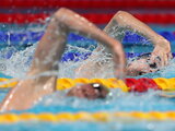 Schwimm-WM starten in Ungarn